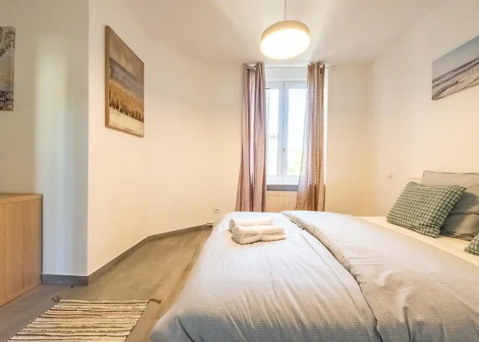 Cocooning 6 Personnes Hyper Centre Mülhausen